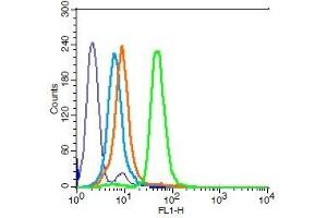 Human HL-60 cells probed with CD15 Polyclonal Antibody, Unconjugated  (green) at 1:100 for 30 minutes followed by a FITC conjugated secondary antibody compared to unstained cells (blue), secondary only (light blue), and isotype control (orange).