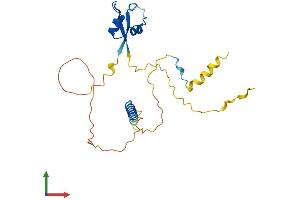 AlphaFold protein structure predicition of Human Recombinant LYSMD1 Protein, UniprotID Q96S90 (LYSMD1 Protein (AA 1-227) (His tag))