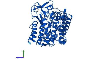 Protein Structure (PS) image for SET and MYND Domain Containing 2a (SMYD2A) (AA 1-433) protein (His tag) (ABIN7546180)