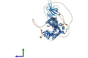 AlphaFold protein structure predicition of Human Recombinant ARHGAP10 Protein, UniprotID A1A4S6