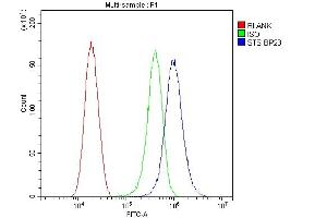 Flow Cytometry analysis of Hela cells using anti-Steroid sulfatase antibody (ABIN5693165). (STS Antikörper  (AA 297-396))