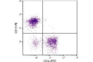 C57BL/6 mouse splenocytes were stained with Rat Anti-Mouse CD3ε-FITC. (CD3 epsilon Antikörper)