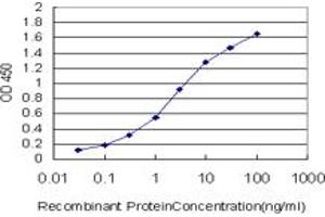 Detection limit for recombinant GST tagged FOXM1 is approximately 0. (FOXM1 Antikörper  (AA 702-801))