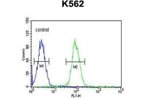 Flow Cytometry (FACS) image for anti-Aldo-Keto Reductase Family 1, Member C3 (3-alpha Hydroxysteroid Dehydrogenase, Type II) (AKR1C3) (AA 17-44), (N-Term) antibody (ABIN950322)