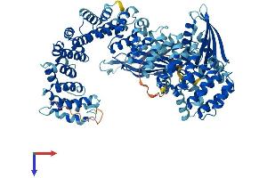 COPG2 Protein (AA 1-871) (His tag)