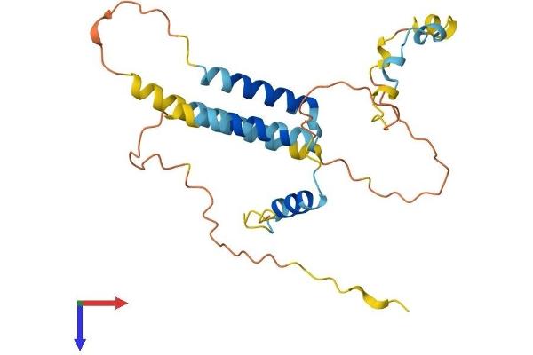 SERTAD1 Protein (AA 1-236) (His tag)