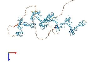 ZNF184 Protein (AA 1-751) (His tag)
