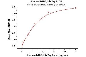Immobilized Human 4-1BB Ligand (71-254), Fc Tag, active trimer (ABIN6938928,ABIN6950963) at 1 μg/mL (100 μL/well) can bind Human 4-1BB, His Tag (ABIN6972935) with a linear range of 1-20 ng/mL (QC tested).