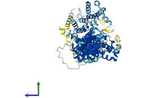 Protein Structure (PS) image for Adaptor-Related Protein Complex 5, zeta 1 Subunit (AP5Z1) (AA 1-807) protein (His tag) (ABIN7557155)