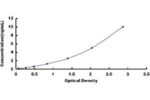 Mesencephalic Astrocyte-Derived Neurotrophic Factor (MANF) ELISA Kit