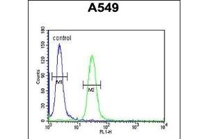 Flow Cytometry (FACS) image for anti-Budding Uninhibited By Benzimidazoles 1 Homolog (Yeast) (BUB1) (AA 1-30), (N-Term) antibody (ABIN651630)