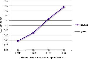 ELISA plate was coated with purified rabbit IgG Fab and IgG Fc. (Ziege anti-Kaninchen IgG (Fab Region) Antikörper (Biotin))