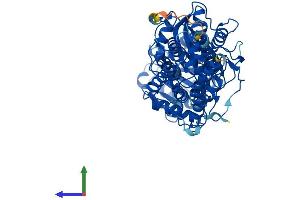 Protein Structure (PS) image for Dihydroxyacetone Kinase 2 Homolog (DAK) (AA 1-578) protein (His tag) (ABIN7559796)