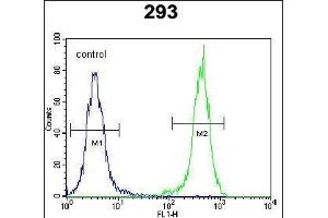 OTUD6B Antibody (C-term) (ABIN651994 and ABIN2840487) flow cytometric analysis of 293 cells (right histogram) compared to a negative control cell (left histogram). (OTUD6B Antikörper  (C-Term))
