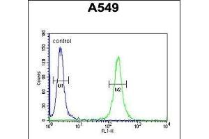 T Antibody (C-term) (ABIN654955 and ABIN2844595) flow cytometric analysis of A549 cells (right histogram) compared to a negative control cell (left histogram). (TMEM168 Antikörper  (C-Term))