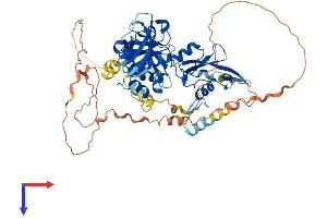 GRB10 Protein (AA 1-621) (His tag)