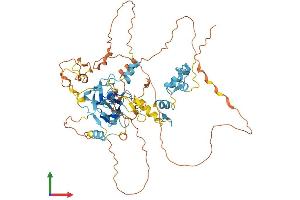 AlphaFold protein structure predicition of Mouse Recombinant Prdm6 Protein, UniprotID Q3UZD5