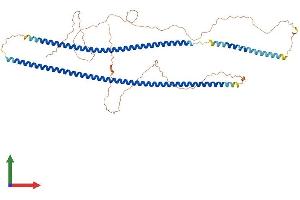 Protein Structure (PS) image for Keratin 5 (KRT5) (AA 1-590) protein (His tag) (ABIN7548679)