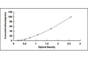 Typical standard curve (Bcl-2 ELISA Kit)