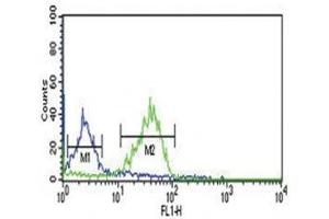 Flow Cytometry (FACS) image for anti-Wingless-Type MMTV Integration Site Family, Member 1 (WNT1) (AA 260-288) antibody (ABIN3029624)