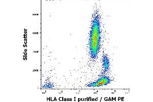 Flow cytometry surface staining pattern of human peripheral whole blood stained using anti-HLA Class I (MEM-147) purified antibody (concentration in sample 1.
