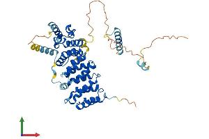 Protein Structure (PS) image for Bystin-Like (BYSL) (AA 1-436) protein (His tag) (ABIN7562422)