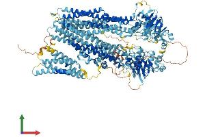 AlphaFold protein structure predicition of Mouse Recombinant Abcc6 Protein, UniprotID Q9R1S7