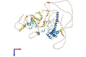 Enhancer of Polycomb Homolog 2 (EPC2) (AA 1-807) protein (His tag)