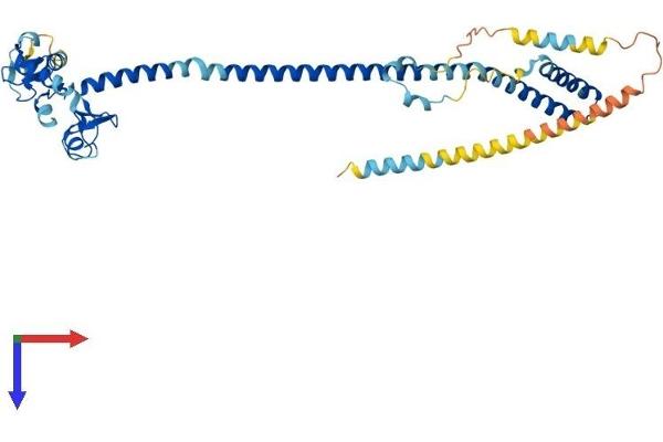 TRIM13 Protein (AA 1-407) (His tag)