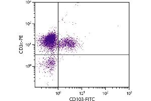 Flow Cytometry (FACS) image for anti-Integrin, alpha E (Antigen CD103, Human Mucosal Lymphocyte Antigen 1, alpha Polypeptide) (ITGAE) antibody (ABIN135353)