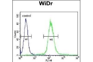 HSPD1 Antibody (C-term) (ABIN1882094 and ABIN2839474) flow cytometric analysis of WiDr cells (right histogram) compared to a negative control cell (left histogram). (HSPD1 Antikörper  (C-Term))