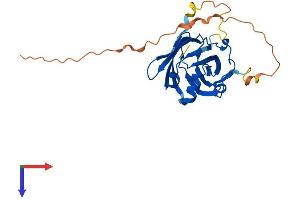 UNC119 Protein (AA 1-240) (His tag)