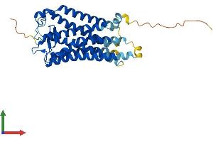 AlphaFold protein structure predicition of Human Recombinant TBXA2R Protein, UniprotID P21731