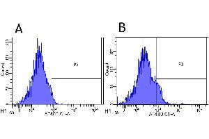 Flow-cytometry using anti-CD25 antibody Basiliximab   Rhesus monkey lymphocytes were stained with an isotype control (panel A) or the rabbit-chimeric version of Basiliximab ( panel B) at a concentration of 1 µg/ml for 30 mins at RT. (Rekombinanter IL2RA (Basiliximab Biosimilar) Antikörper)