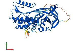 Protein Structure (PS) image for serpin Peptidase Inhibitor, Clade B (Ovalbumin), Member 6 (SERPINB6) (AA 1-378) protein (His tag) (ABIN7557625)
