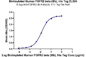 Immobilized Anti-FGFR2 IIIb Antibody, hFc Tag at 1 μg/mL (100 μL/well) on the plate.