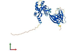 Protein Structure (PS) image for Nudix (Nucleoside Diphosphate Linked Moiety X)-Type Motif 13 (NUDT13) (AA 1-352) protein (His tag) (ABIN7550033)