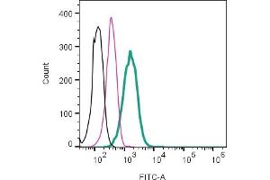 Cell surface detection of Somatostatin Receptor Type 2 in live intact human THP1 monocytic leukemia cells:___ Cells.