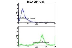 Flow Cytometry (FACS) image for anti-N-Myc Downstream Regulated 1 (NDRG1) antibody (ABIN3002891)