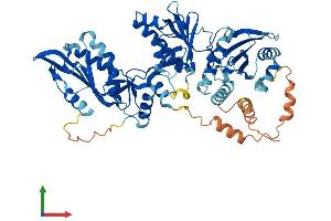 AlphaFold protein structure predicition of Human Recombinant SLFN12 Protein, UniprotID Q8IYM2
