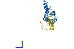 AlphaFold protein structure predicition of Human Recombinant STAG3L4 Protein, UniprotID Q8TBR4