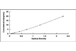 Typical standard curve (ZFHX4 ELISA Kit)