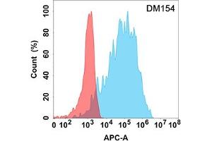 Flow cytometry analysis with Anti-FAP (DM154) on Expi293 cells transfected with human FAP (Blue histogram) or Expi293 transfected with irrelevant protein (Red histogram). (FAP Antikörper  (AA 30-760))
