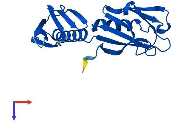 RPL9 Protein (AA 1-192) (His tag)