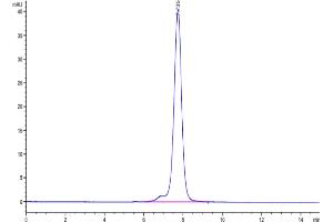 The purity of Mouse Fc Epsilon RI alpha/FCER1a is greater than 95 % as determined by SEC-HPLC. (Fc epsilon RI/FCER1A Protein (AA 24-204) (Fc Tag))