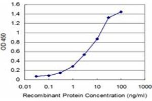 Detection limit for recombinant GST tagged NBR1 is approximately 0. (NBR1 Antikörper  (AA 2-96))