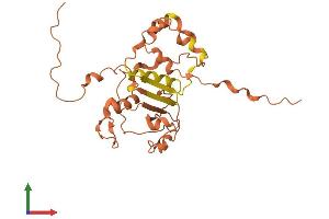 AlphaFold protein structure predicition of Human Recombinant PMS2P11 Protein, UniprotID Q13670