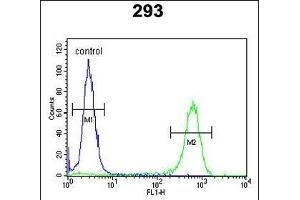 JHDM1D Antibody (Center) (ABIN651309 and ABIN2840180) flow cytometric analysis of 293 cells (right histogram) compared to a negative control cell (left histogram). (JHDM1D Antikörper  (AA 290-316))