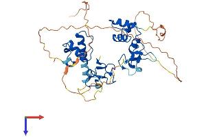 RFFL Protein (AA 1-377) (His tag)