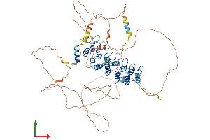 Protein Structure (PS) image for Nuclear Factor of kappa Light Polypeptide Gene Enhancer in B-Cells Inhibitor, zeta (NFKBIZ) (AA 1-728) protein (His tag) (ABIN7565067)